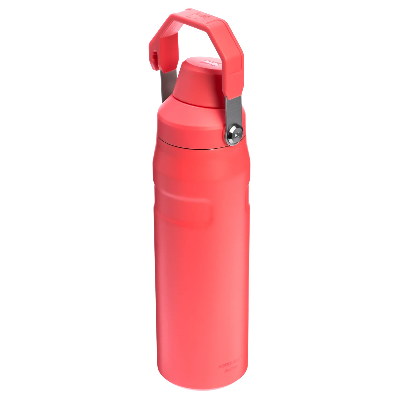 IceFlow™ Bottle with Fast Flow Lid | 24 OZ - Image 89