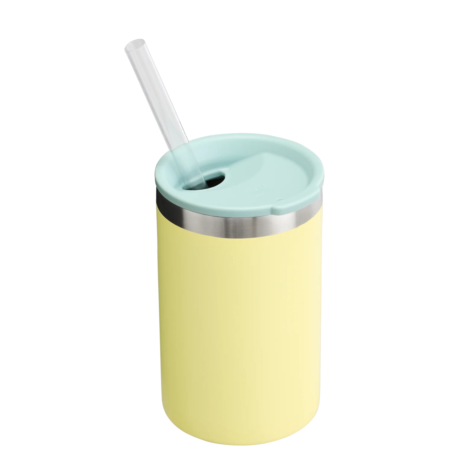 The Everyday Can Cooler Cup | 10 OZ - Image 24