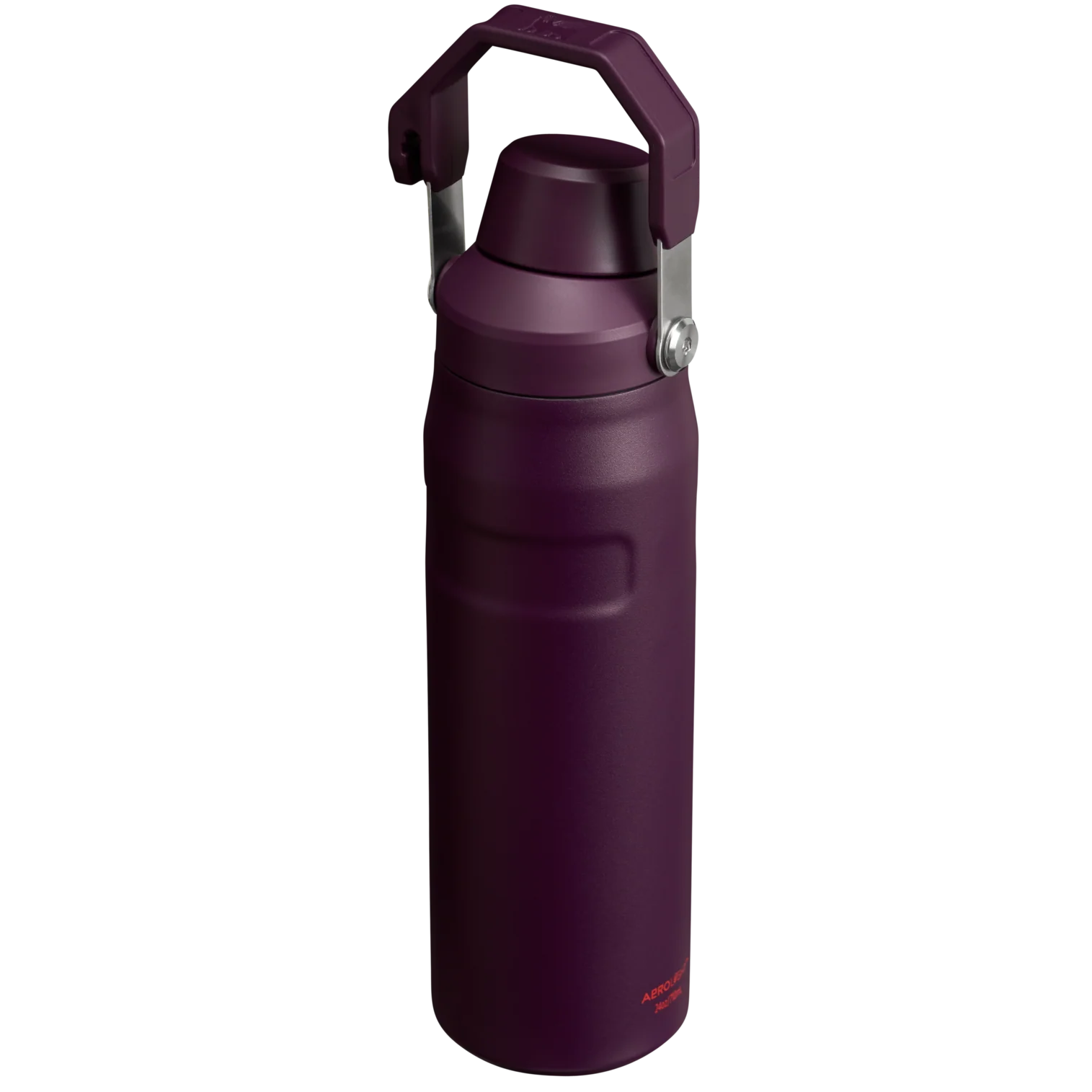 IceFlow™ Bottle with Fast Flow Lid | 24 OZ - Image 38